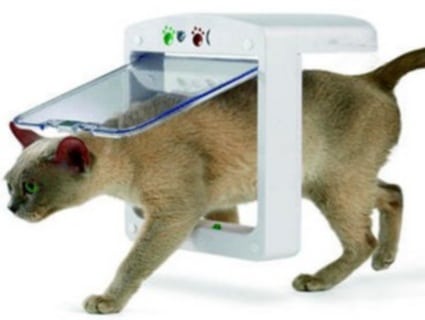 microchipcatflap_small.jpg microchipcatflap_small.jpg