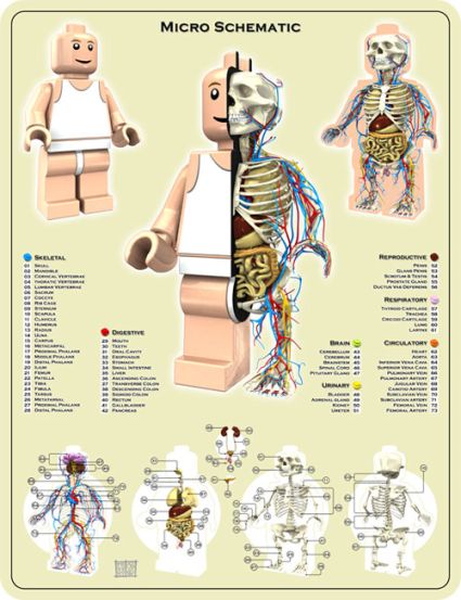 Anatomia di un personaggio LEGO