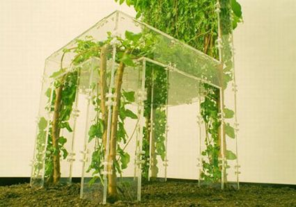 Come realizzare una pianta a forma di sedia