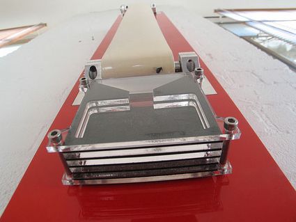 Robot carnivori si cibano di carne per funzionare