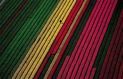 Fotografie aeree per la vostra ispirazione