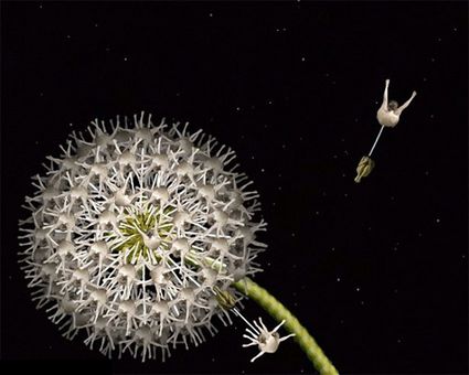 Stravagante collezione di fiori... umani! Stravagante collezione di fiori... umani!