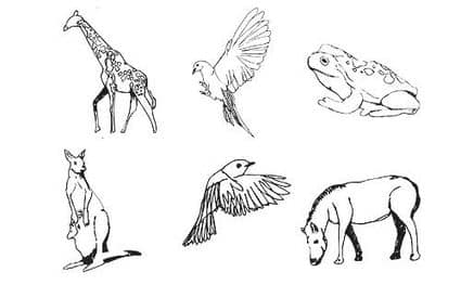 Illustrator: vettori di animali gratis Illustrator: vettori di animali gratis