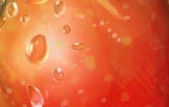 Dipinti still life in Photoshop