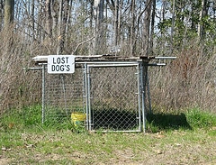 Bari: bambina cresciuta con il cane nella cuccia